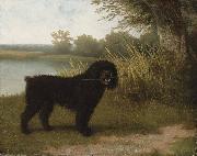 A black water dog with a stick by a lake, Jacques-Laurent Agasse